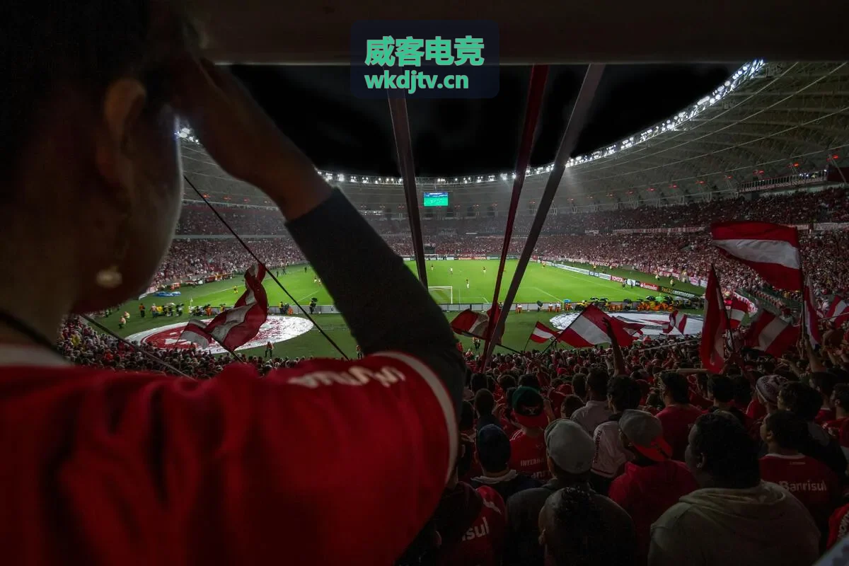 威客电竞数据分析